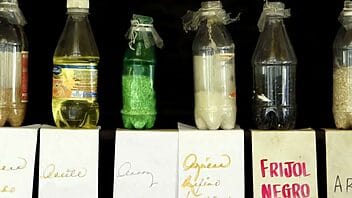 Confirman retrasos en la distribución de los mandados de la bodega en julio