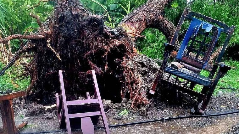 Tornado en Holguín deja numerosos daños materiales