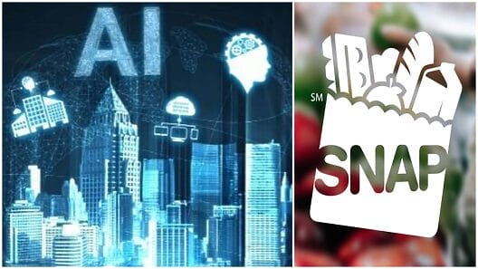 Inteligencia Artificial evitaría robos al SNAP