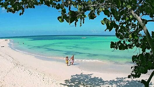 Reservas para la playa en Cuba mediante plataforma Enzona generan debate en las redes