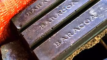 ¿Más chocolate en Cuba? Lista en Baracoa novedosa planta de procesamiento de cacao