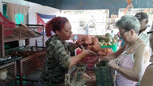 Se reduce a la mitad la capacidad de compra del salario en Cuba