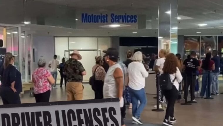 Largas colas y reventa de turnos para obtener licencia de conducción en Miami