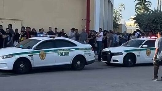 Video Viral: Así están las colas para sacar una licencia de conducción Miami