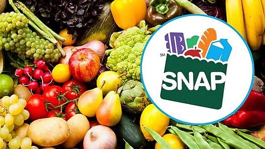 Si eres beneficiario del SNAP debes actualizar tu situación este mes