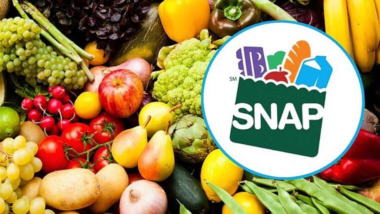 Si eres beneficiario del SNAP debes actualizar tu situación este mes