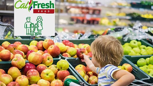 CalFresh ¿Cuántos miembros de la familia pueden recibir sus beneficios?
