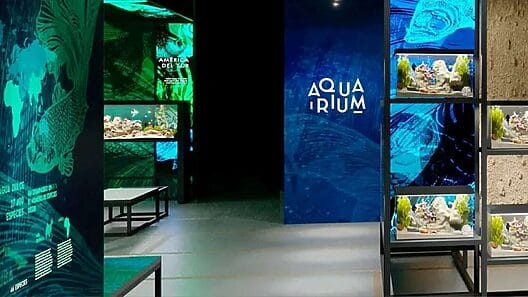 ¡Novedad!: abrirán acuario “privado” en La Habana Vieja