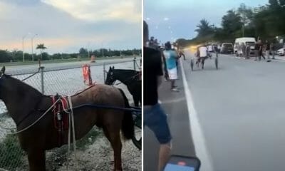 carreras caballos miami cubanos
