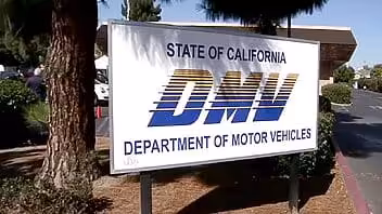 Migrantes podrán obtener licencias de conducción en este Estado de EE.UU.