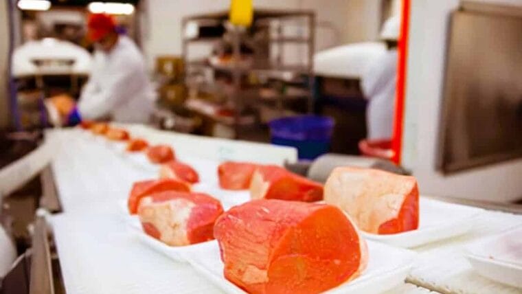 Costa Rica exporta primer contenedor de carne a Cuba