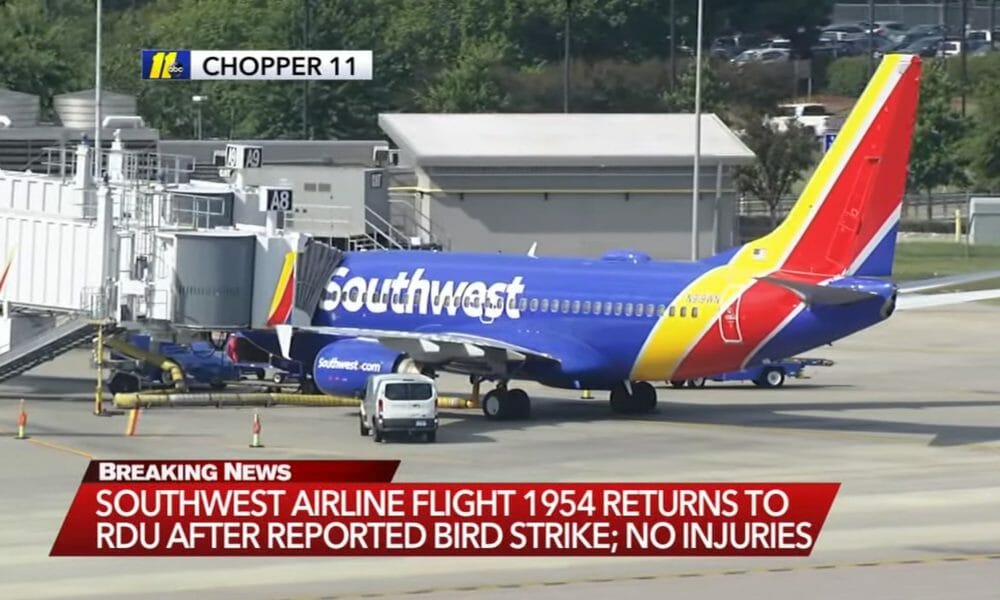 Southwest Airlines flight returns to Raleigh-Durham after bird strike
