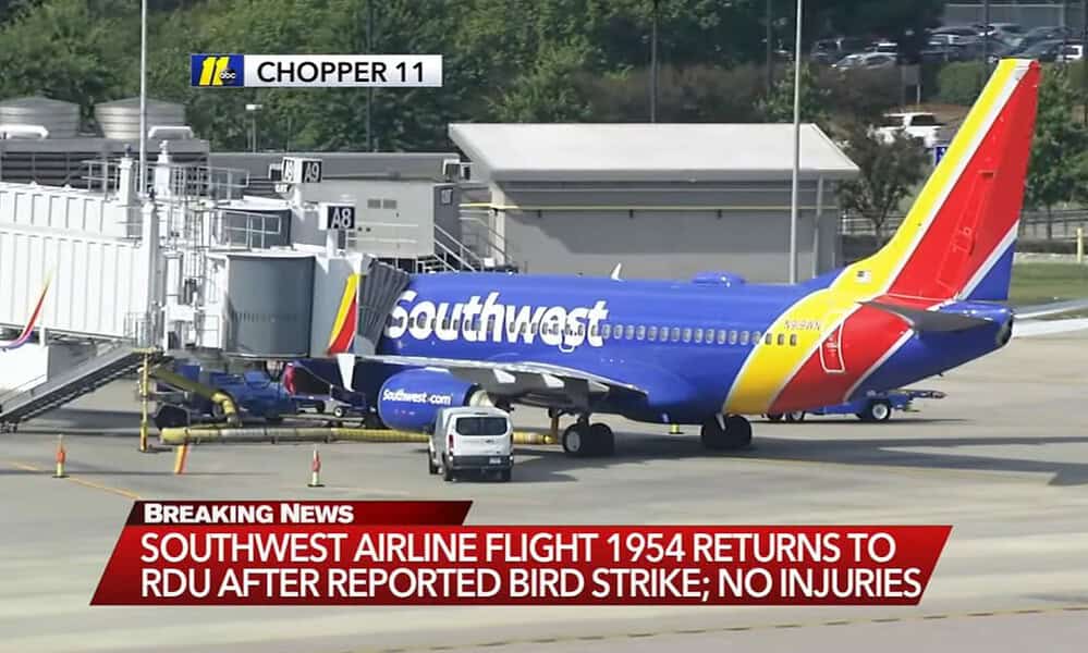 Southwest Airlines flight returns to Raleigh-Durham after bird strike