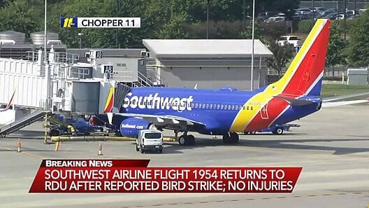 Vuelo de Southwest Airlines regresa a Raleigh-Durham tras colisión con aves