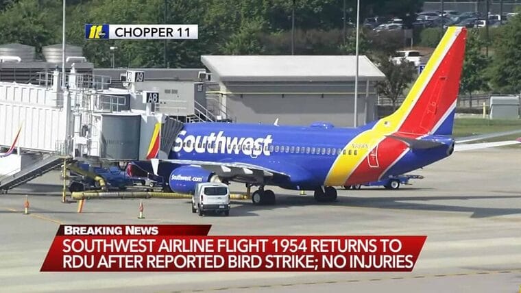 Vuelo de Southwest Airlines regresa a Raleigh-Durham tras colisión con aves