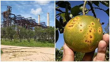 La crisis en Cuba también es consecuencia de la caída de exportaciones históricas