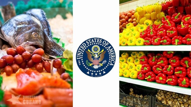 Programas de Asistencia Alimentaria del gobierno de Estados Unidos. Ayudas para conseguir comida