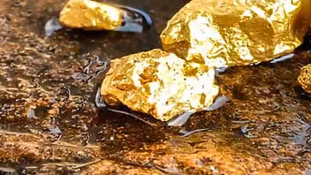 Cuba: Desmantelan red de extracción ilegal de oro con más de 30 detenidos