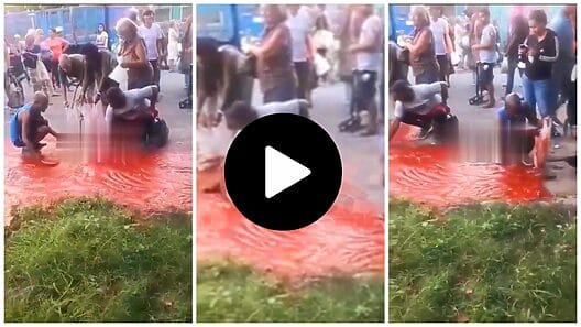 Video muestra a cubanos recogiendo puré de tomate de la calle
