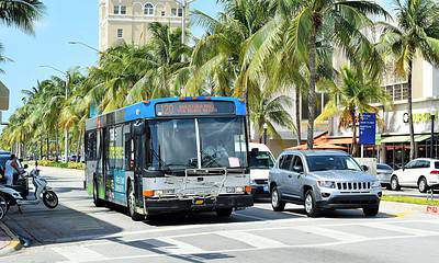 bus gratuito miami 2023