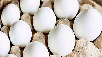 Aumentan en Cuba importaciones de huevo desde Estados Unidos