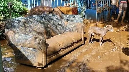 Crecida sorpresiva de río en Holguín, Cuba, deja pérdidas materiales significativas (+ fotos)