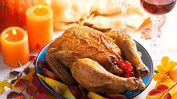 pavos thanksgivings gratis miami 2023