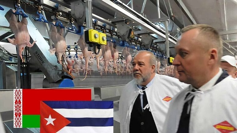 Gobierno cubano busca soluciones a escasez de carne y lácteos mediante alianzas con Bielorrusia