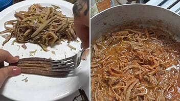 ropa vieja cáscara de plátanos
