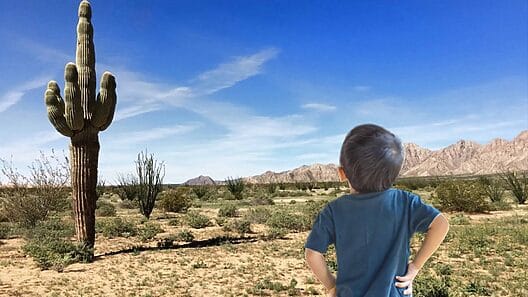 Migrante en la frontera salva a un niño estadounidense durante acción de gracias. Su vida cambia para siempre