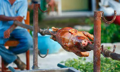 precios carne de cerdo fin año cuba