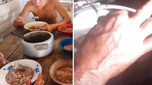 Viral: cubanos de Holguín inventan “potaje” con semillas de mamoncillos