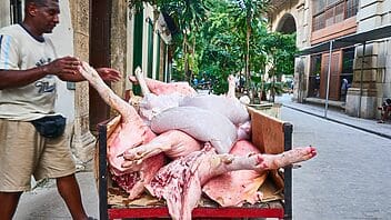precios carne cerdo cuba