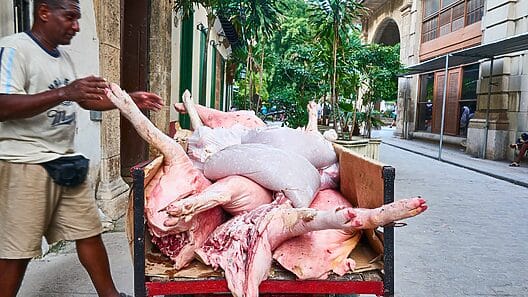 ¡Así están los precios de la carne de cerdo en Cuba este diciembre!