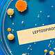 leptospirosis cuba