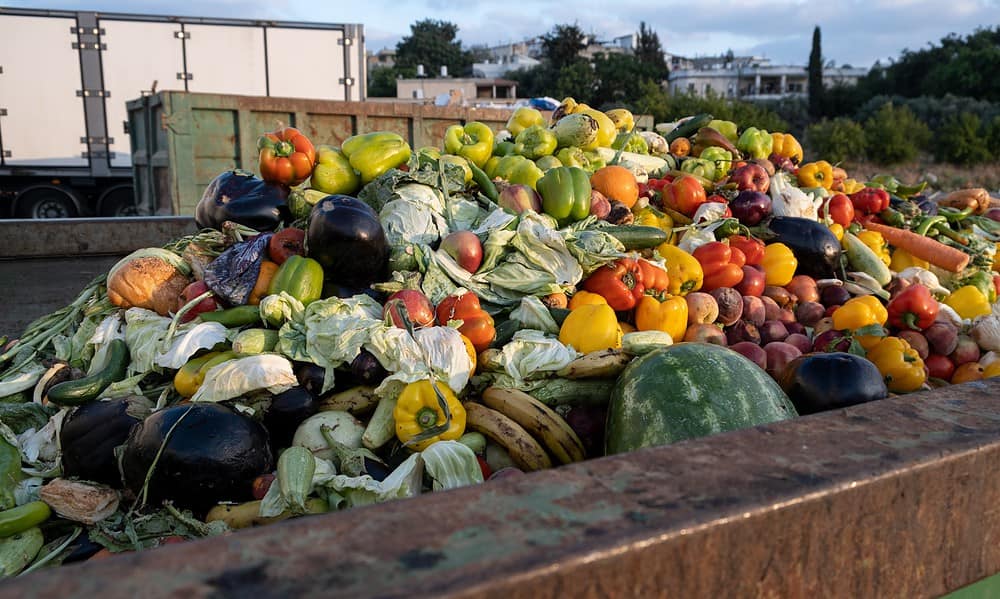 habana alimentos vencidos bulo