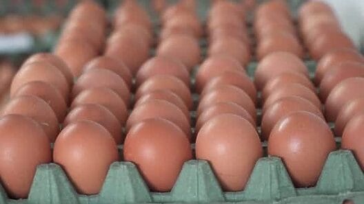 Colombia enviará entre tres y cinco contenedores de huevos al mes a Cuba