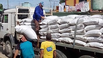 Comenzó la distribución del arroz correspondiente a diciembre