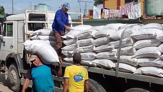Comenzó la distribución del arroz correspondiente a diciembre