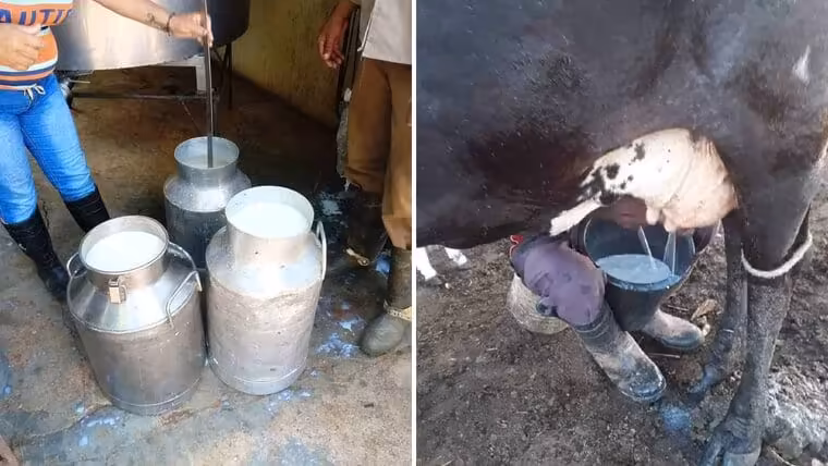 escasez niños cuba acopio