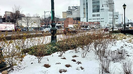 Anuncian nevadas durante tormenta invernal en Estados Unidos para este fin de semana