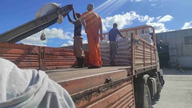 Buque con chícharos llega a La Habana: continúan retrasos con los productos de la Libreta
