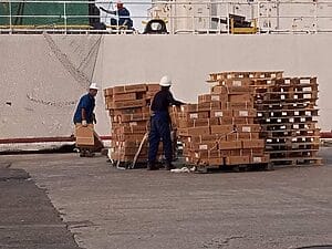 El Ministerio del Comercio Interior de Cuba (MINCIN) informó que desde ayer comenzaron las operaciones de descarga de un buque con pollo para la distribución de la canasta familiar normada.