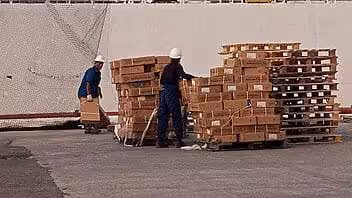 El Ministerio del Comercio Interior de Cuba (MINCIN) informó que desde ayer comenzaron las operaciones de descarga de un buque con pollo para la distribución de la canasta familiar normada.