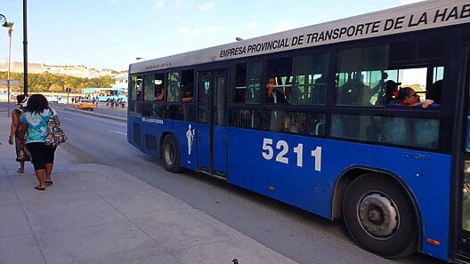 Crisis del Transporte en Habana: más de la mitad de las guaguas inutilizadas