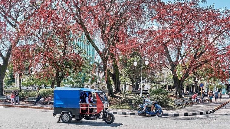 Transportistas privados suben precios de motonetas y carretones de caballos en Cuba. ¡Lluvia de multas!