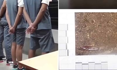 cadena perpetua asesino cienfuegos