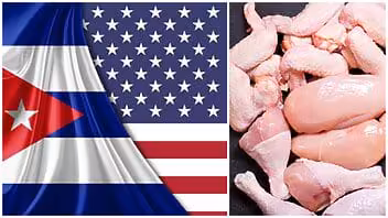 Incrementó Estados Unidos exportaciones de alimentos a Cuba durante 2023