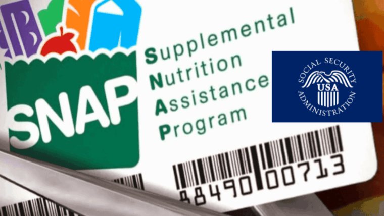 Así podrás verificar el estado de tu solicitud al programa SNAP