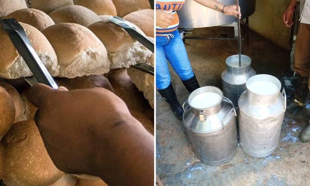pan leche cuba
